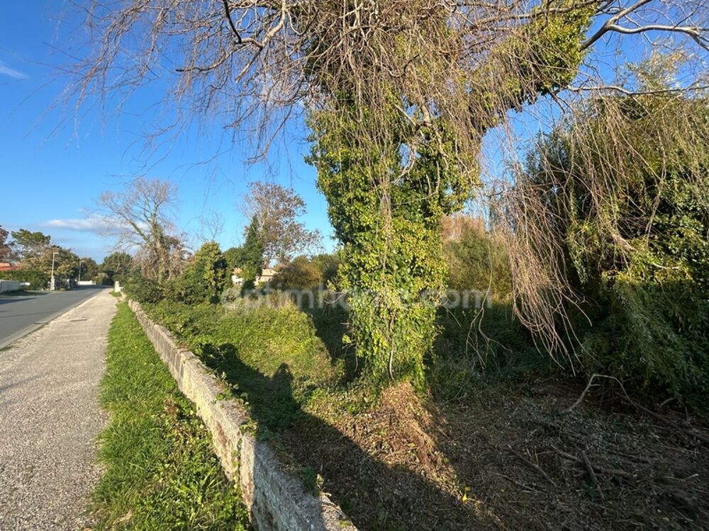 Vente Terrain Terrain constructible avec permis purgé à vendre de 2500 m² SAINT GEORGES D'OLERON (17) Saint georges d oleron