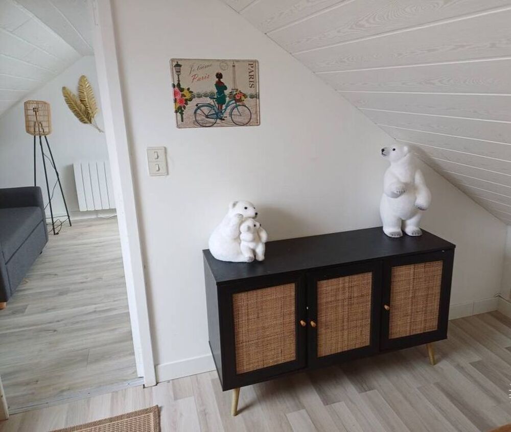 Location Appartement Studio de 35m2 à louer sur Souppes-sur-Loing Souppes sur loing