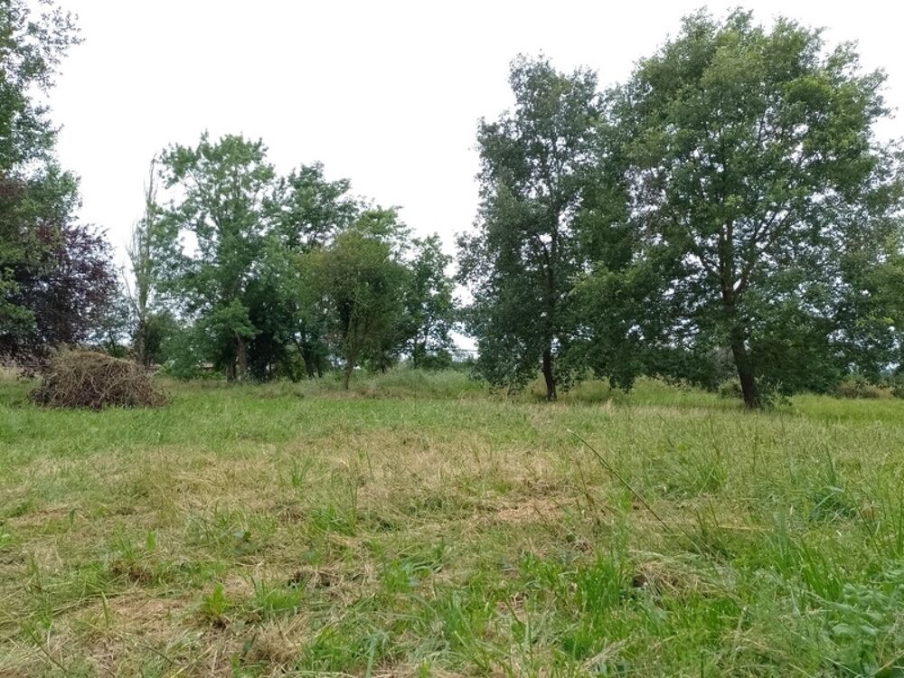 Vente Terrain Terrain � vendre  MONDAVEZAN (31) Mondavezan