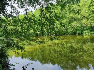  Terrain � vendre 34403 m�
