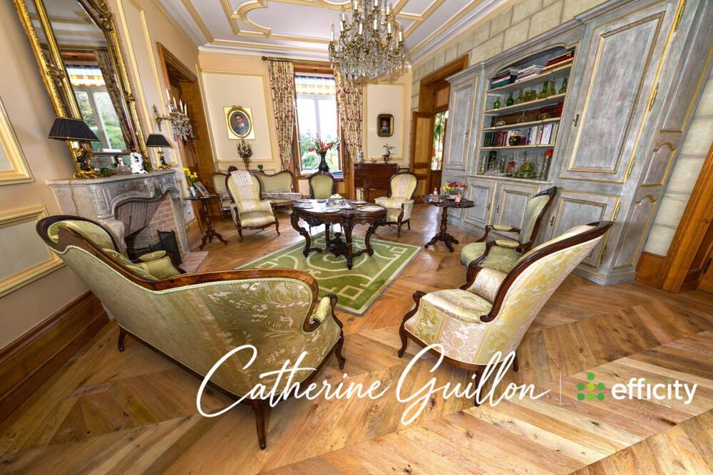 à vendre  Propriété/château Ingrandes (86220)