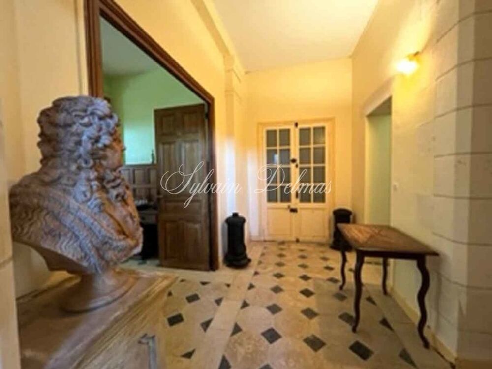 � vendre  Propri�t�/ch�teau Amboise (37400)