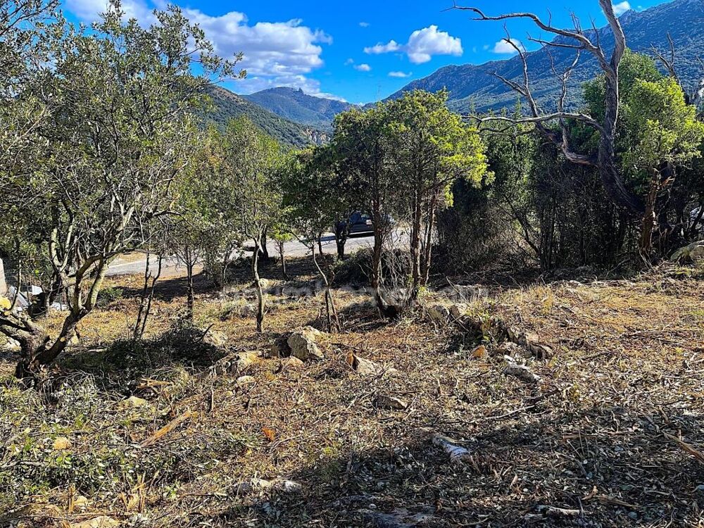 Vente Terrain Terrain constructible au coeur du Pays Cathare Duilhac sous peyrepertuse