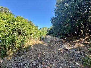  Terrain  vendre 3380 m