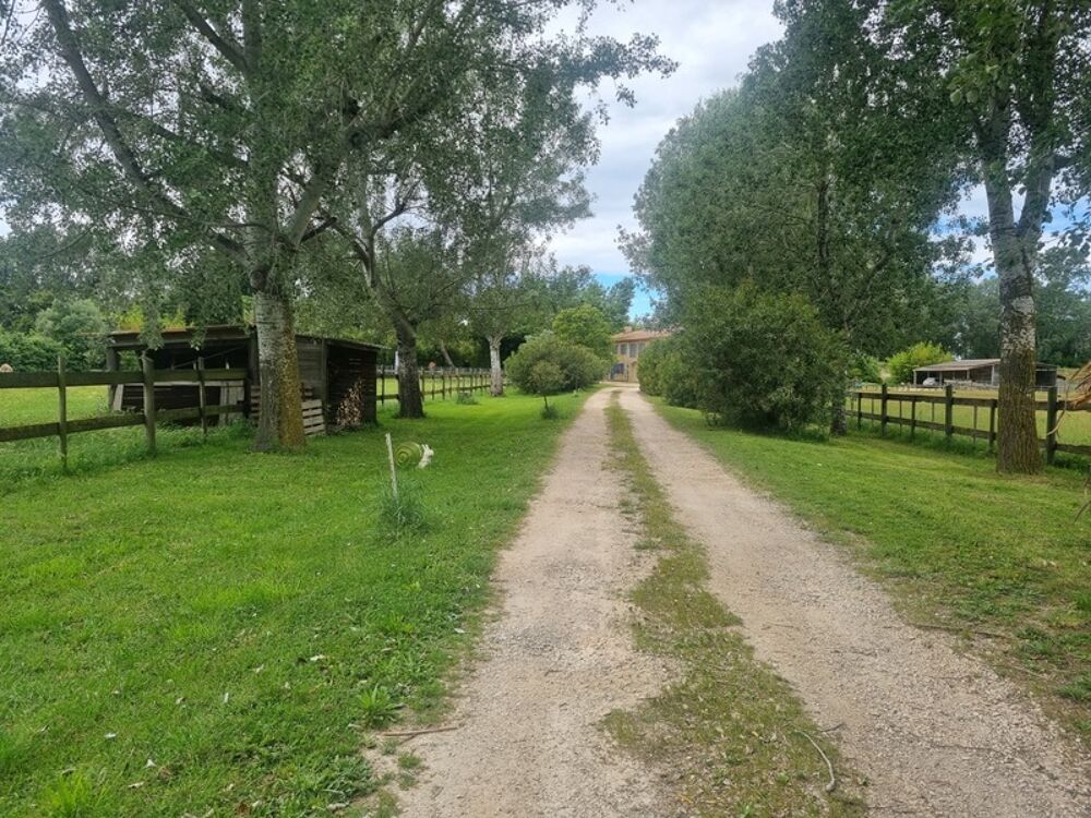 Mas de Charme en Camargue  3 Habitations, Dépendances et Piscine