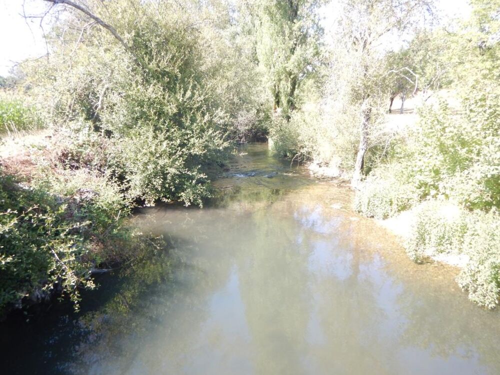 Vente Terrain Terrain de loisir de 3 060 m² sur la commune de Cubjac-Auvezère-Val d'Ans (24) Cubjac