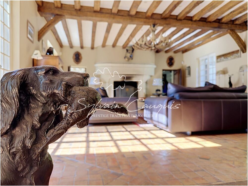 à vendre  Propriété/château Vannes-sur-Cosson (45510)
