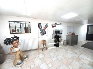  Loft � vendre 9 pi�ces 230 m�