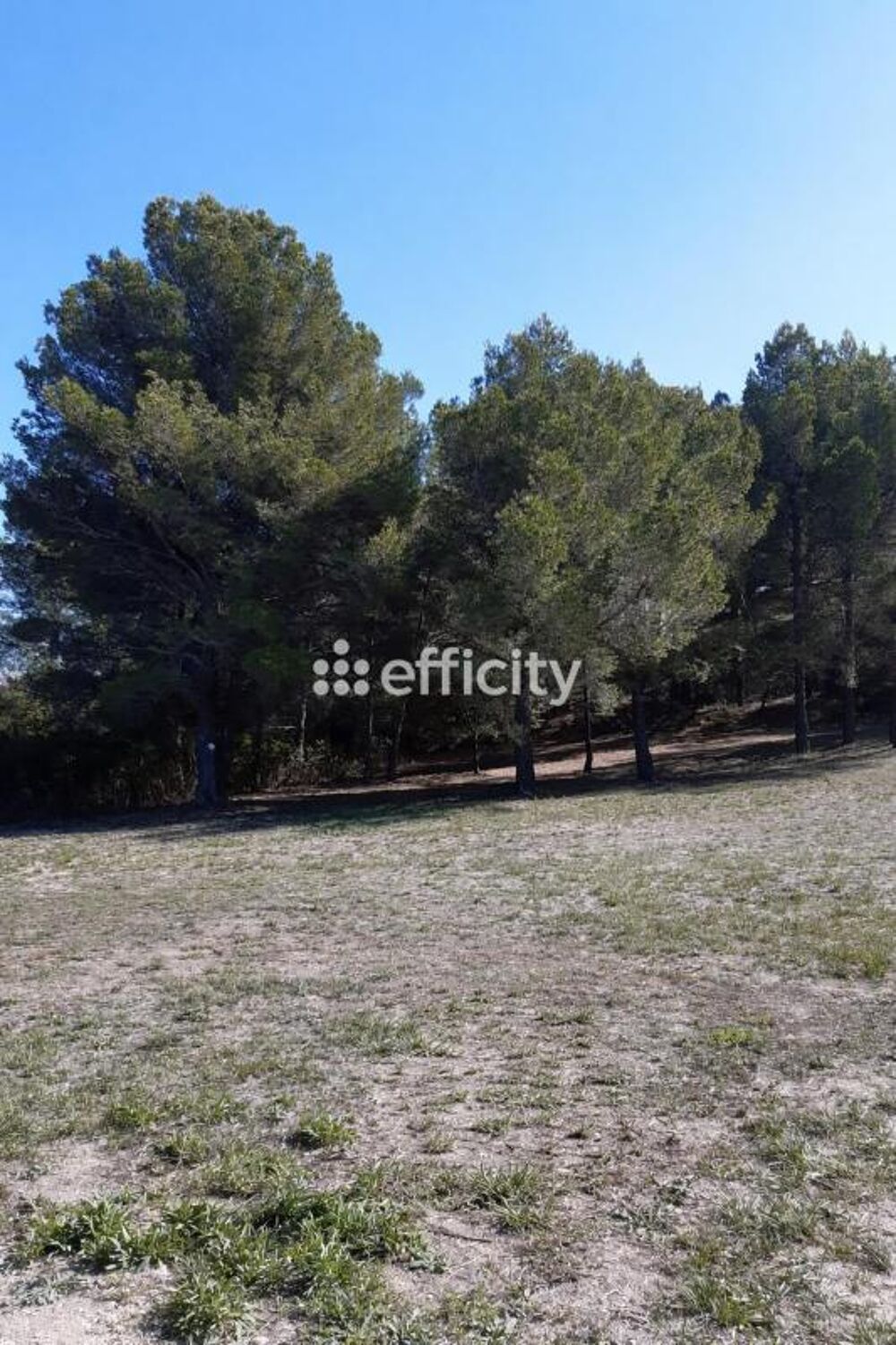 Vente Terrain Terrain Eyguieres