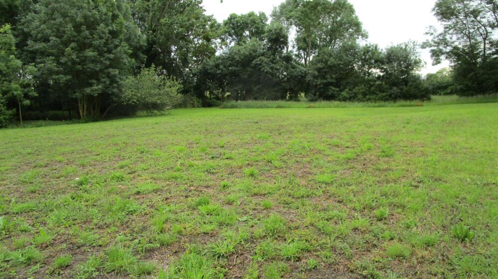 Vente Terrain Terrain La Jonchere 495 m2 La jonchere