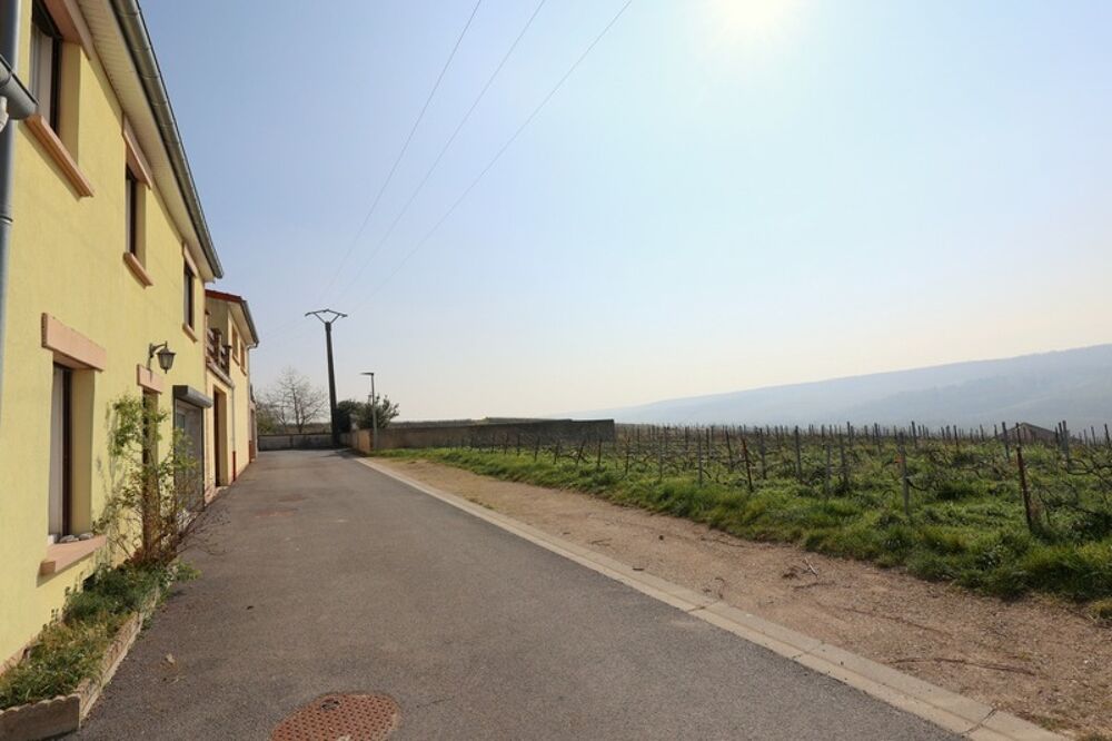 Vente Maison VENTEUIL(51) Maison à vendre 8 pièces avec une vue exceptionnelle sur le vignoble de la vallée de la marne Venteuil