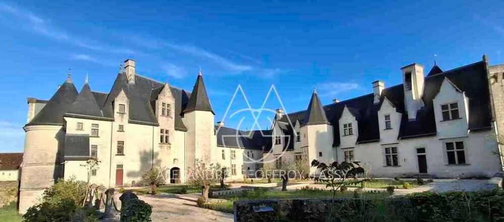 à vendre  Propriété/château Le Blanc (36300)