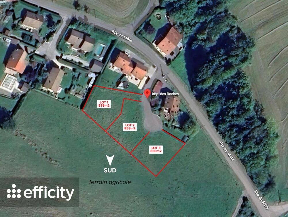 Vente Terrain Terrain Saint jean de tholome