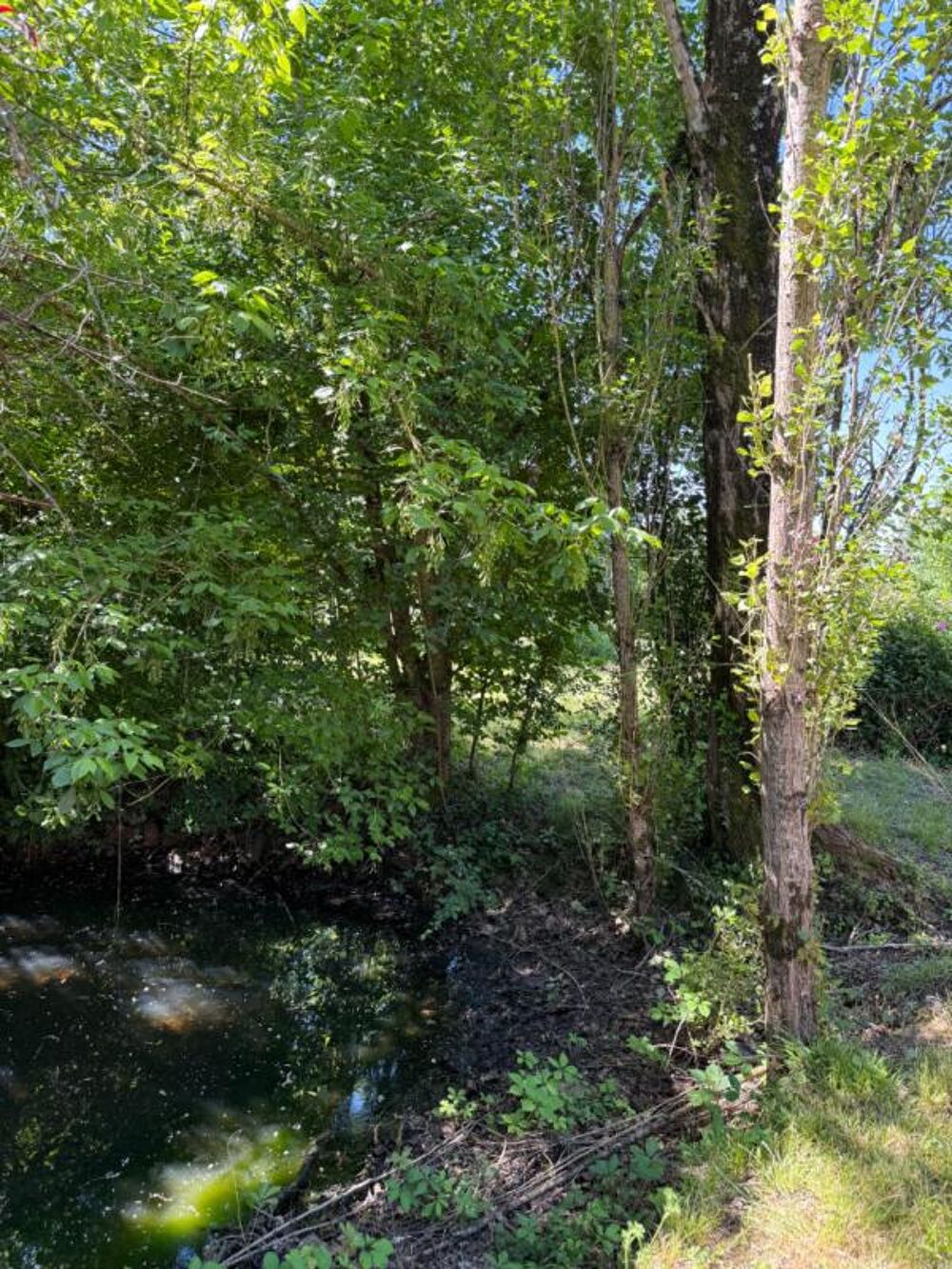 Vente Maison Maison Plaisance 4 pièce(s) 107 m2 Plaisance