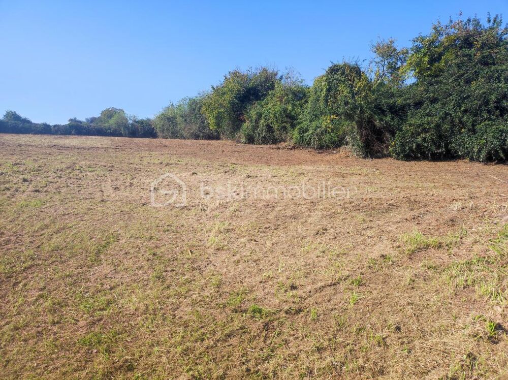 Vente Terrain ? Terrain constructible de 2 514 m² avec grange – Cadre naturel et beau potentiel Champlost