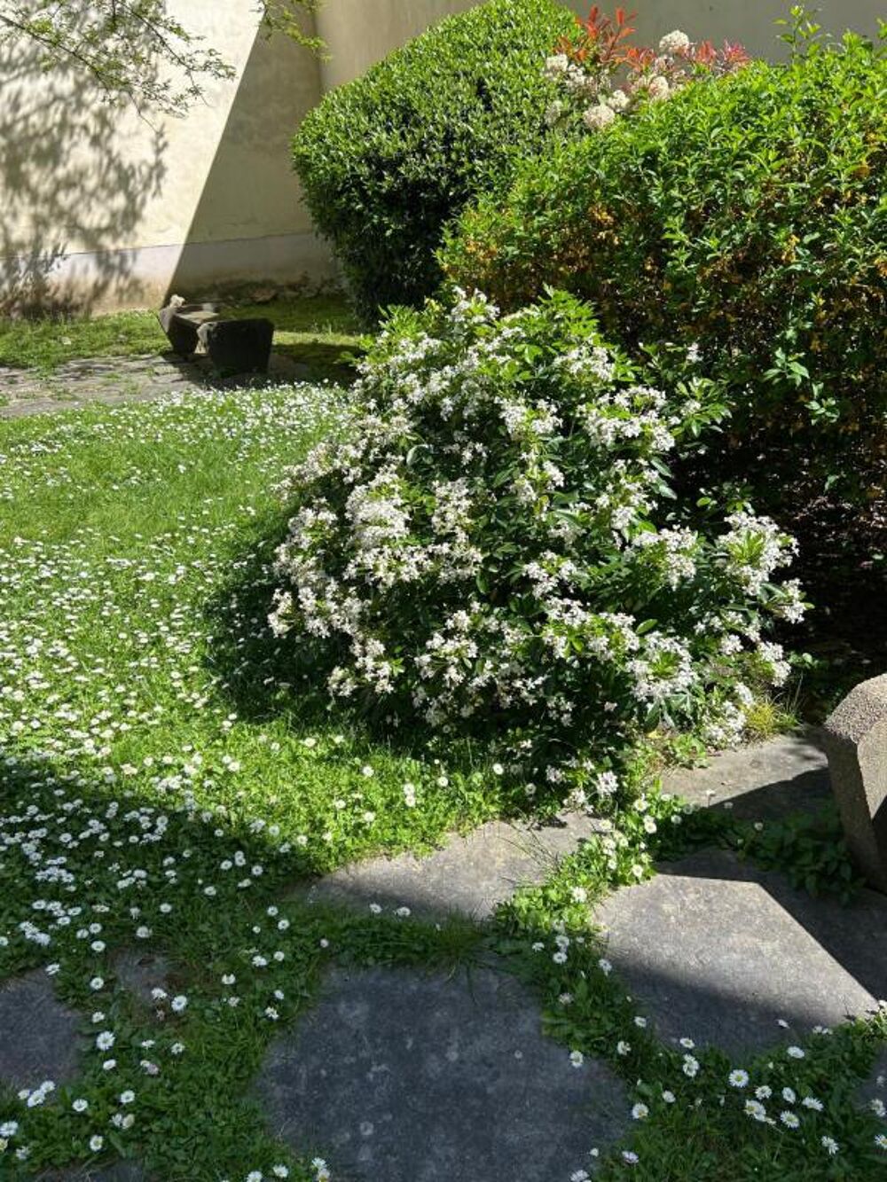 Vente Appartement Appartement Paris 19