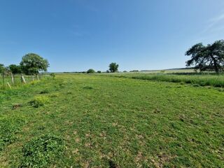  Propriété/château à vendre 8 pièces 228 m²