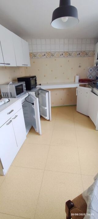  Appartement à louer 1 pièce 20 m²