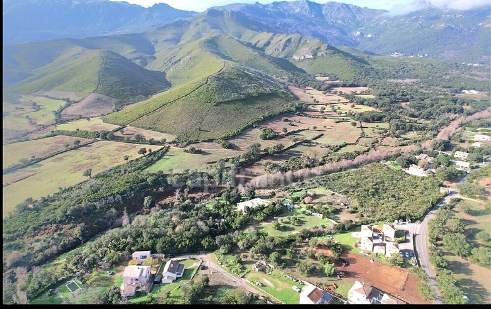 Vente Terrain A vendre Terrain plat c0nstructible de 2362 m2 à PIETRACORBARA (Cap Corse) très proche de mer Pietracorbara