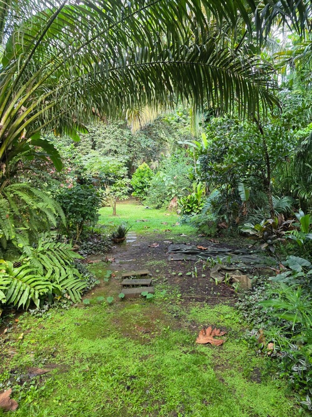 � vendre  Villa Baie-Mahault (97122)