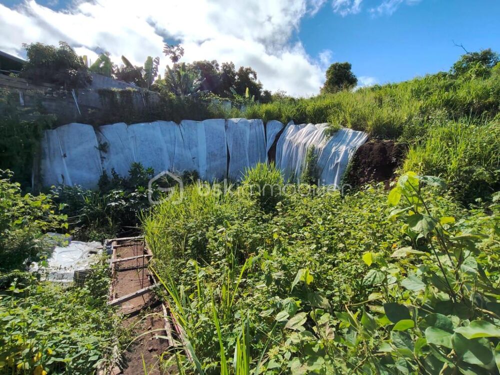 Vente Terrain Secteur Pichette - Terrain à bâtir de 508m² avec vue mer La possession