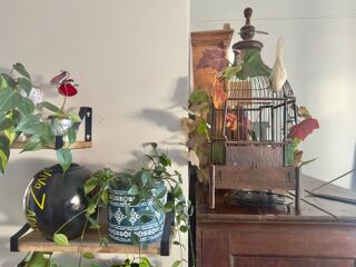  Appartement � vendre 2 pi�ces 39 m�