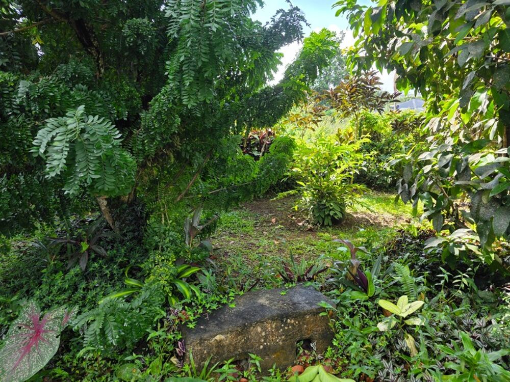 � vendre  Villa Baie-Mahault (97122)