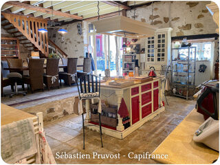  Propriété/château à vendre 11 pièces 325 m²