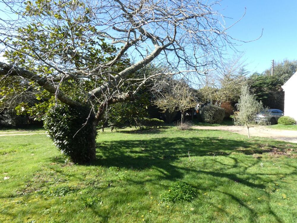 Vente Terrain BELLE OPPORTUNITE FONCIERE ! Terrain constructible de près de 3 000m2 Erquy