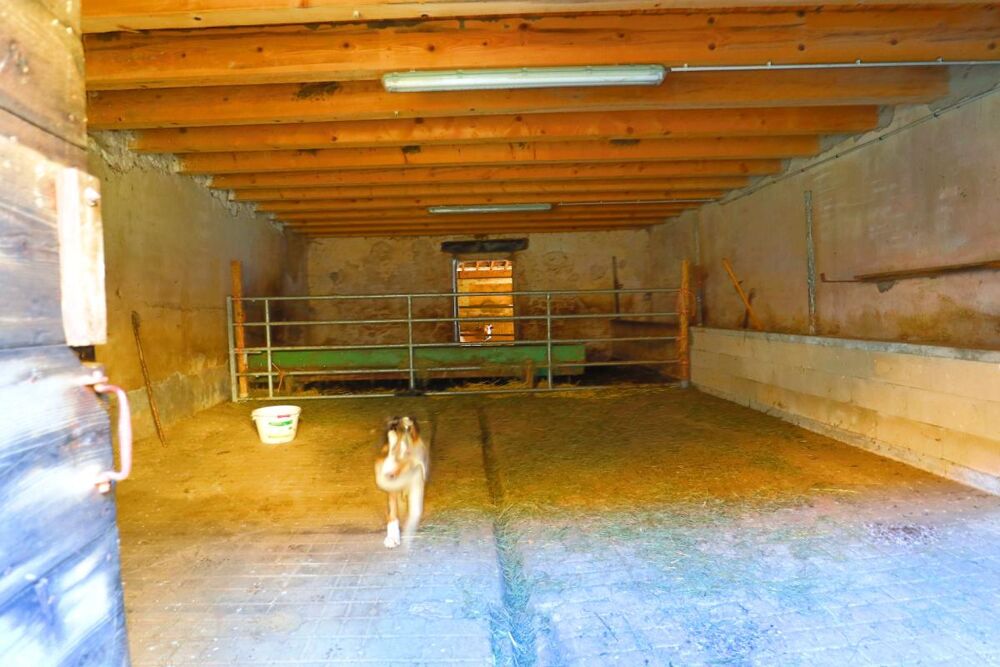à vendre  Propriété/château Beaufort (39190)