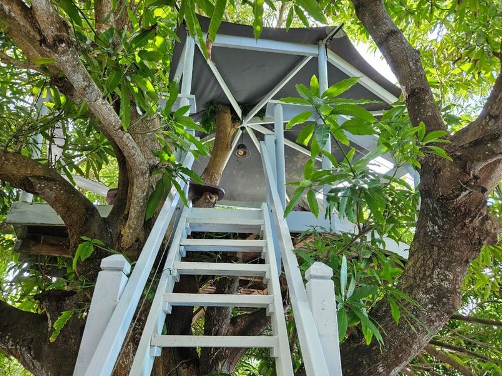 à vendre  Villa Le Gosier (97190)
