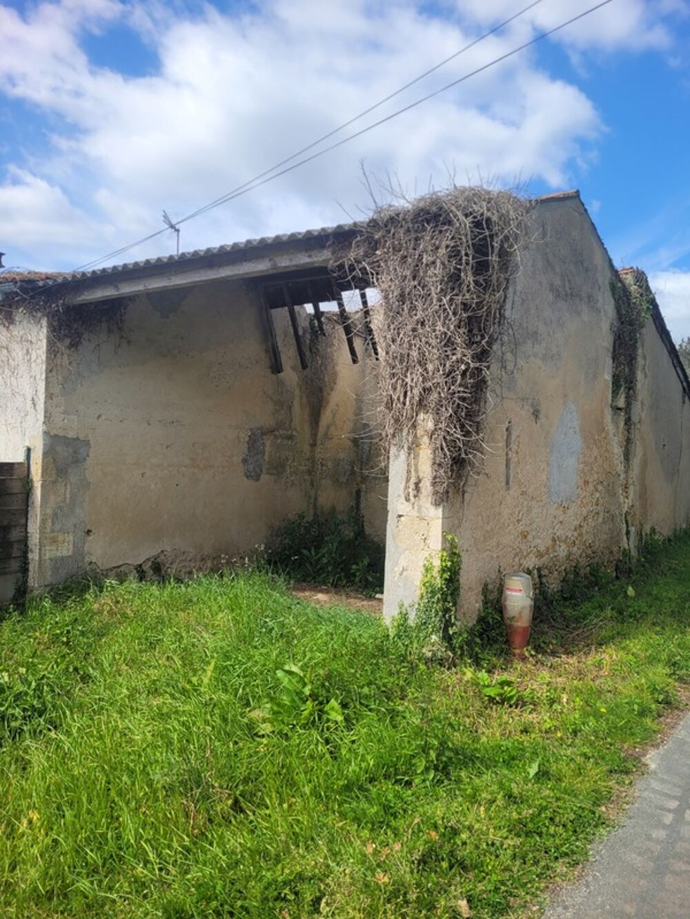 batisse a vendre avec jardin