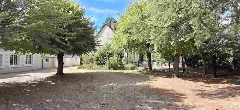 à vendre  Propriété/château Vernou-sur-Brenne (37210)