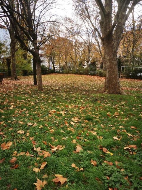  Appartement � louer 3 pi�ces 68 m�