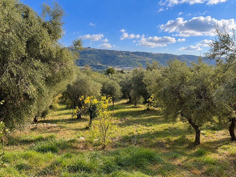 à vendre  Maison Saint-Jeannet (06640)
