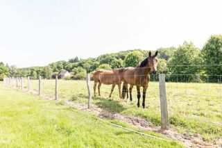  Maison  vendre 8 pices 240 m