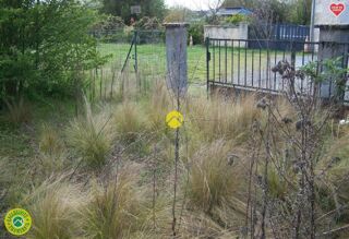  Terrain � vendre 250 m�