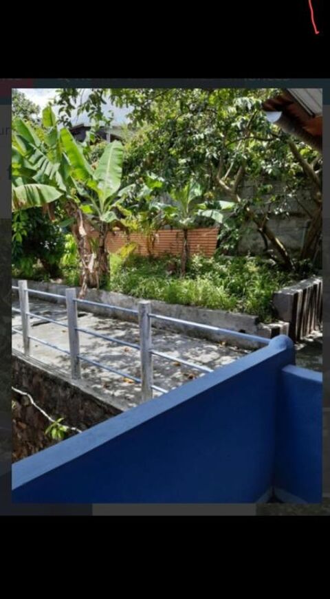  Appartement � louer 5 pi�ces 80 m�