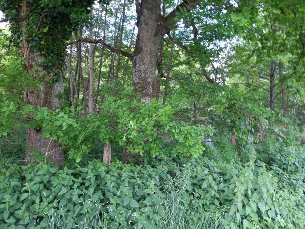 Vente Terrain Terrain à vendre de 405,00 m² COURTEMAUX (45) Courtemaux