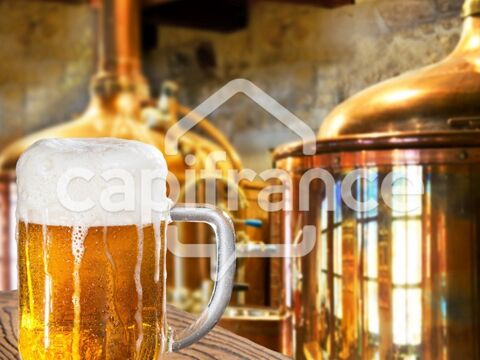 Pub Brasserie d'exception &agrave; vendre GRENOBLE (38) 728000 38000 Grenoble