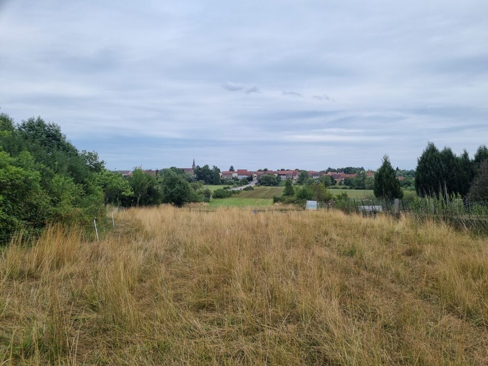Vente Terrain Terrain à vendre de 4 182,00 m²  () Sarralbe