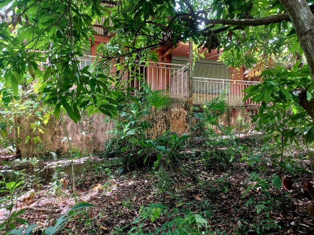 Maison à vendre 7 pièces, 1615 m² terrain à SAINTE ANNE (971)