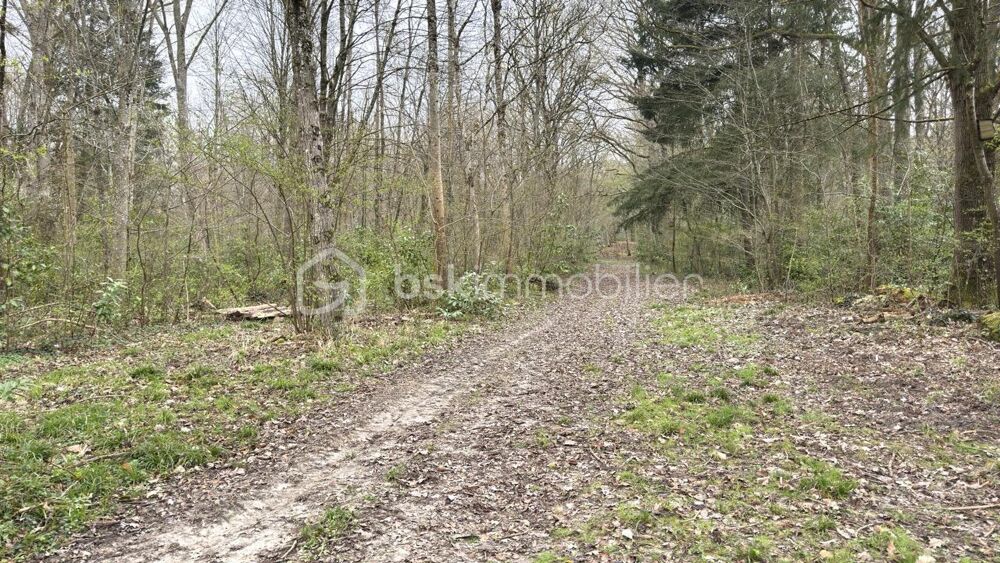 Vente Terrain À vendre – Domaine naturel d'exception à La Ferté-sous-Jouarre (77) La ferte sous jouarre