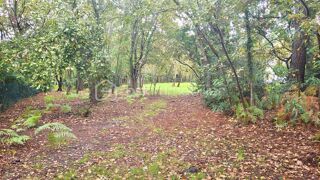  Terrain � vendre 1000 m�