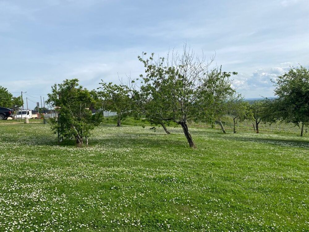 Vente Terrain BEYCHAC ET CAILLAU Beychac et caillau