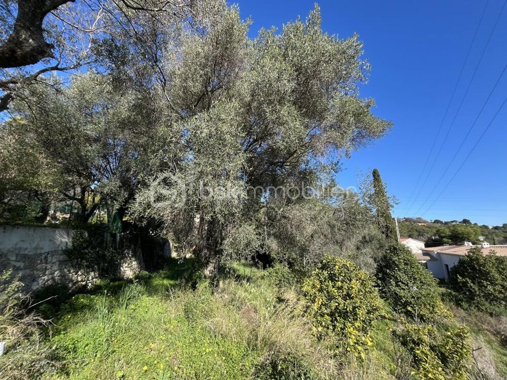 Vente Terrain Opportunité Rare : Terrain de 3000 m² à Pibonson Mougins