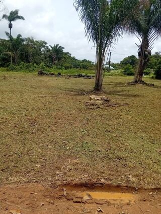  Terrain � vendre 3000 m�