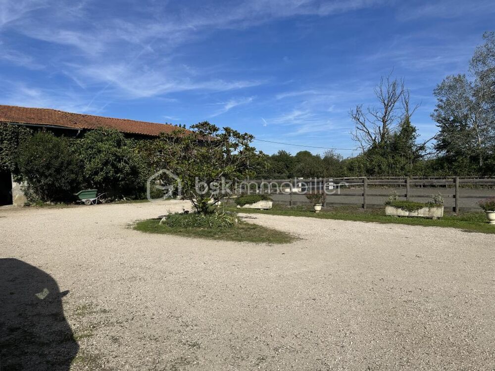 Vente Propriété/Château PROPRIETE EQUESTRE DE 10 HECTARES Toulouse