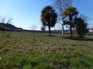  Terrain  vendre 1087 m