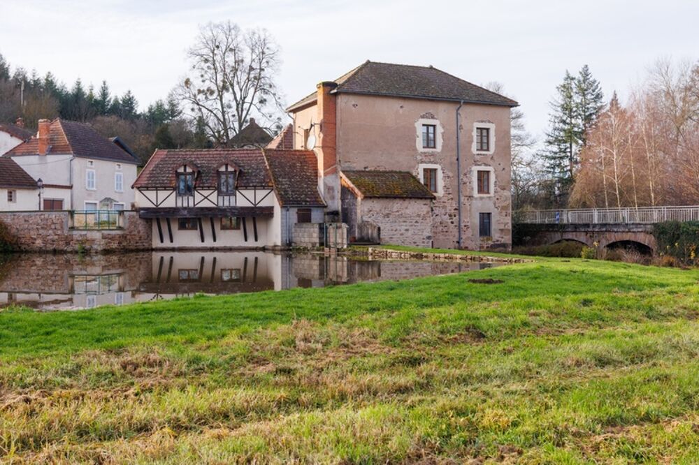 Vente Propriété/Château Exclusivité Propriété à vendre 10 pièces OZOLLES (71)-Ancien Moulin avec droit d'eau Ozolles